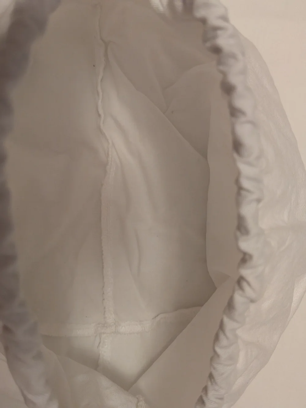 Chanel Dust Bag